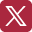 x icon